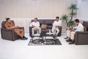 Dorong Ruang Digital Sehat, Kominfosantik Sulteng Gandeng Komnas HAM